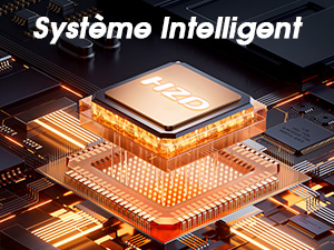 Système Intelligent