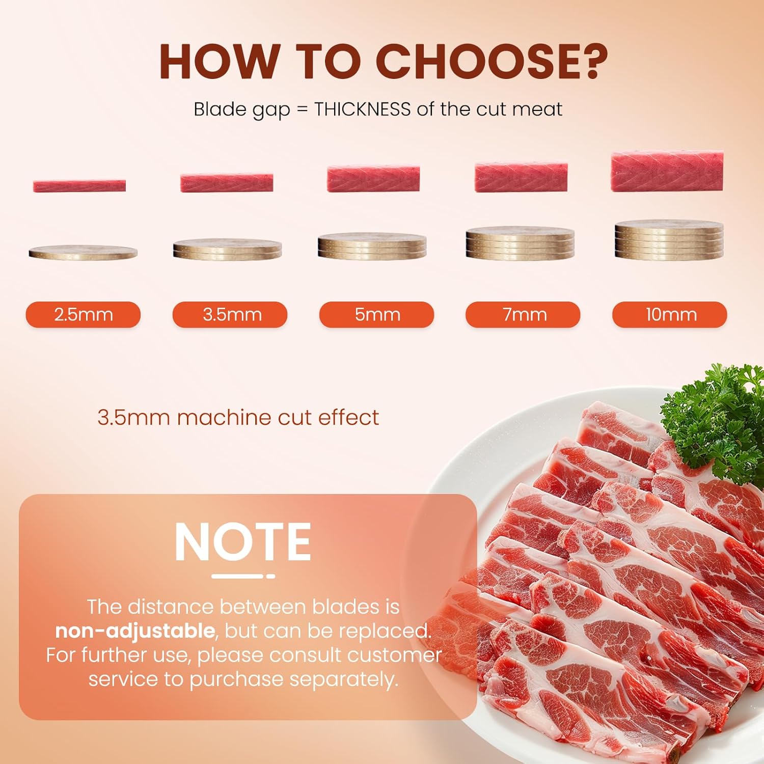 NEWTRY - trancheuse à viande 2,5 mm, 550W, 160kg/h pour pros