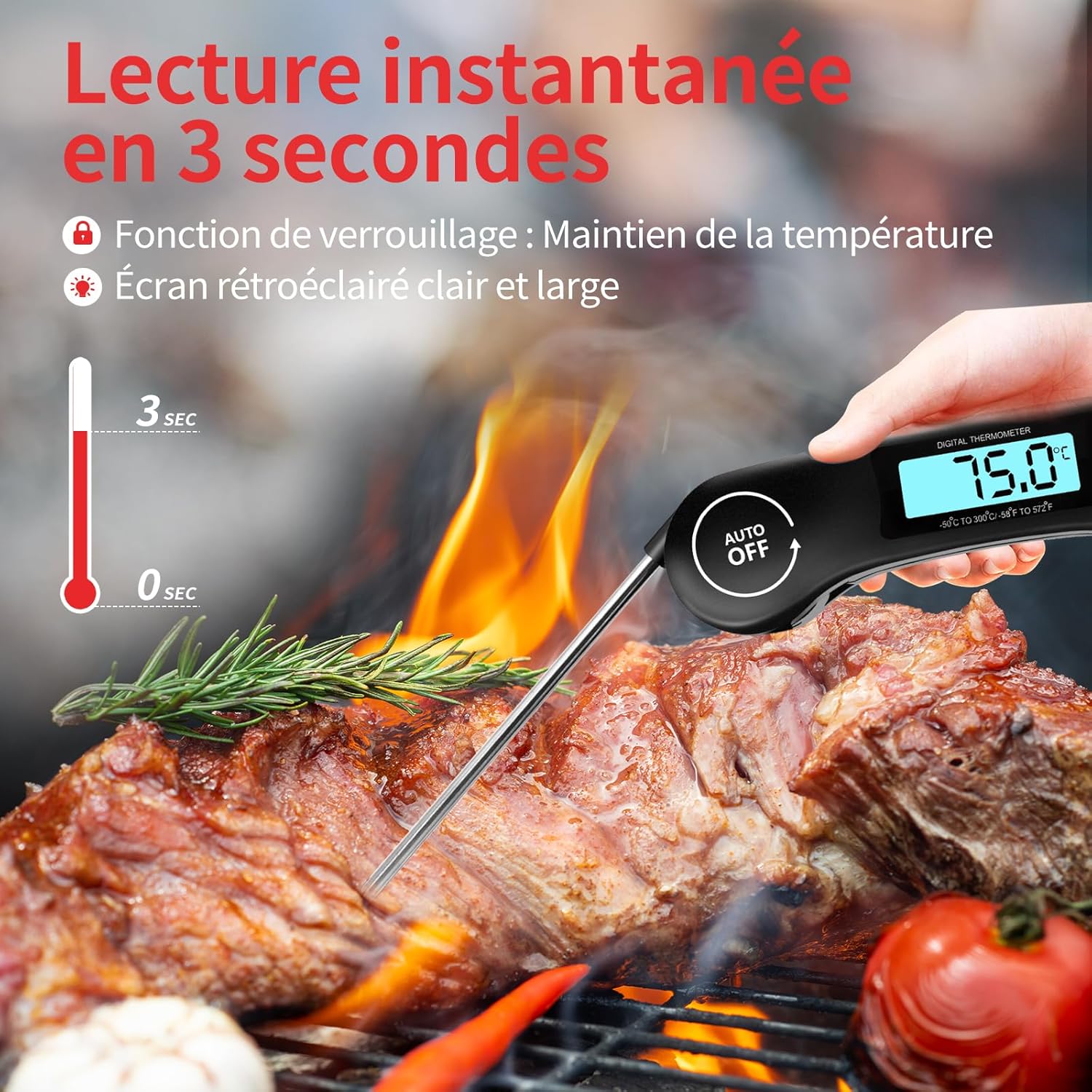 DOQAUS - Thermomètre Cuisine - sonde pliante, écran LCD, lecture 3s, auto off