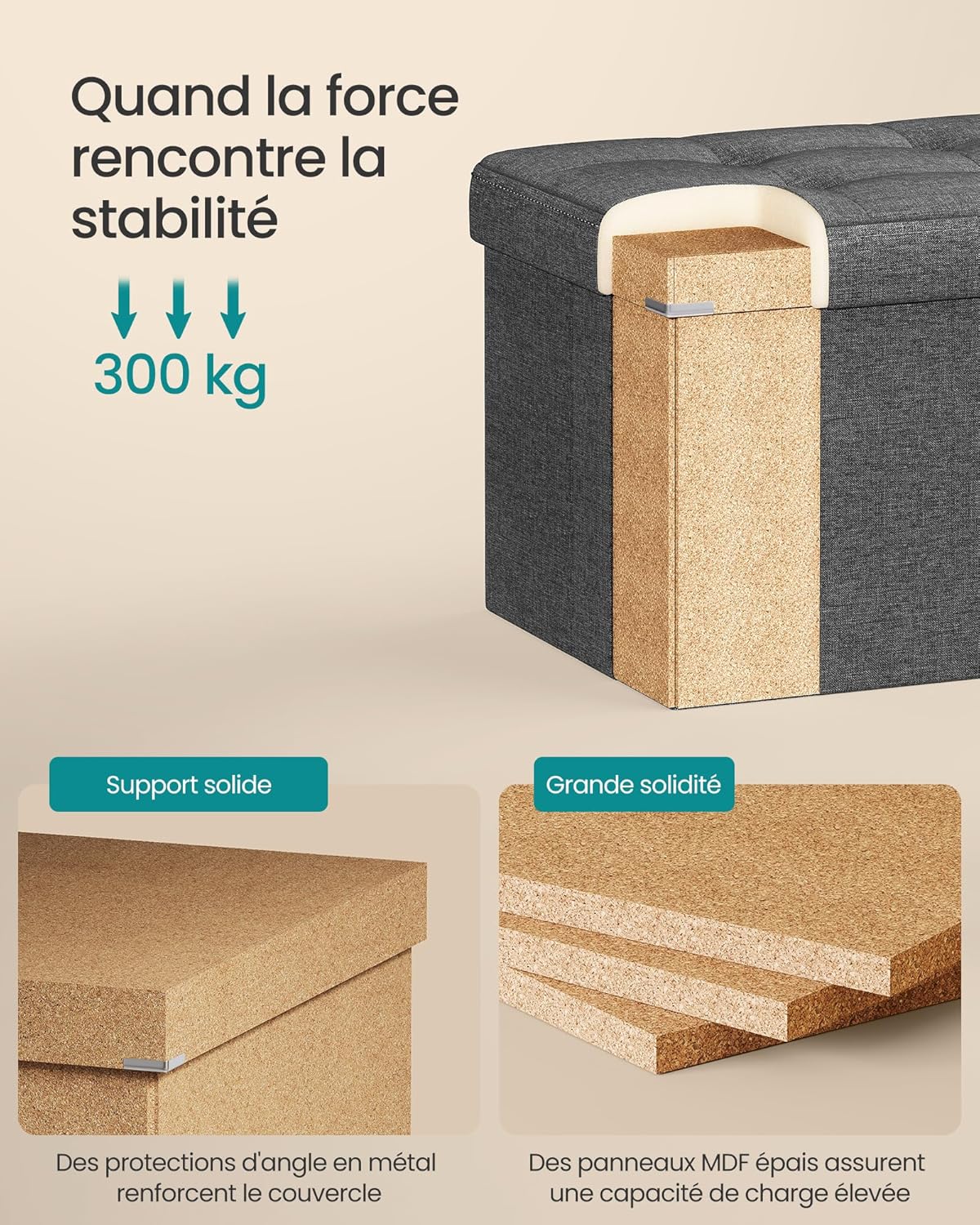 SONGMICS - banc de rangement pliable - 38x76x38 cm - coffre solide 300kg, gris foncé LSF47K