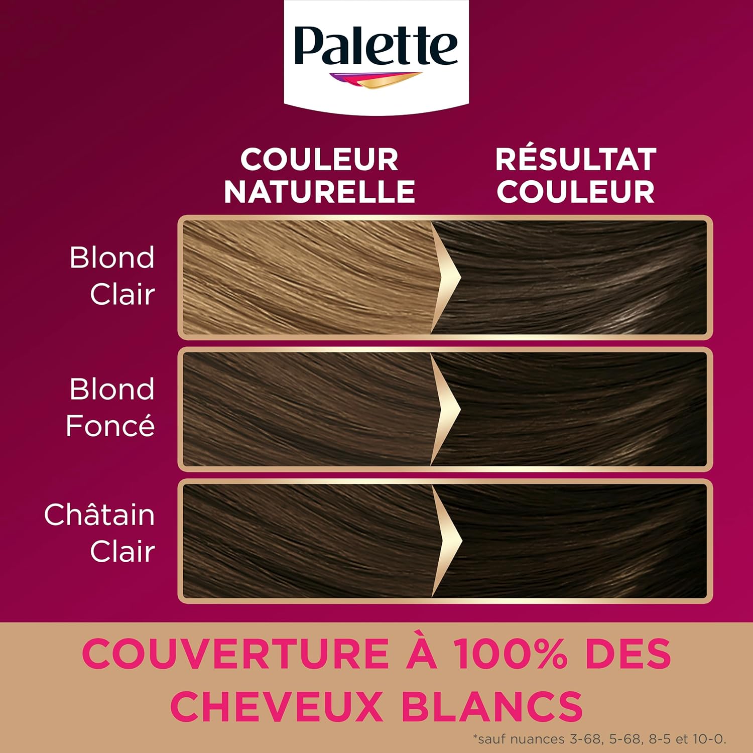 Palette - Intensive coloration permanente, cheveux châtain clair, 600, soin, couvre 100% blancs