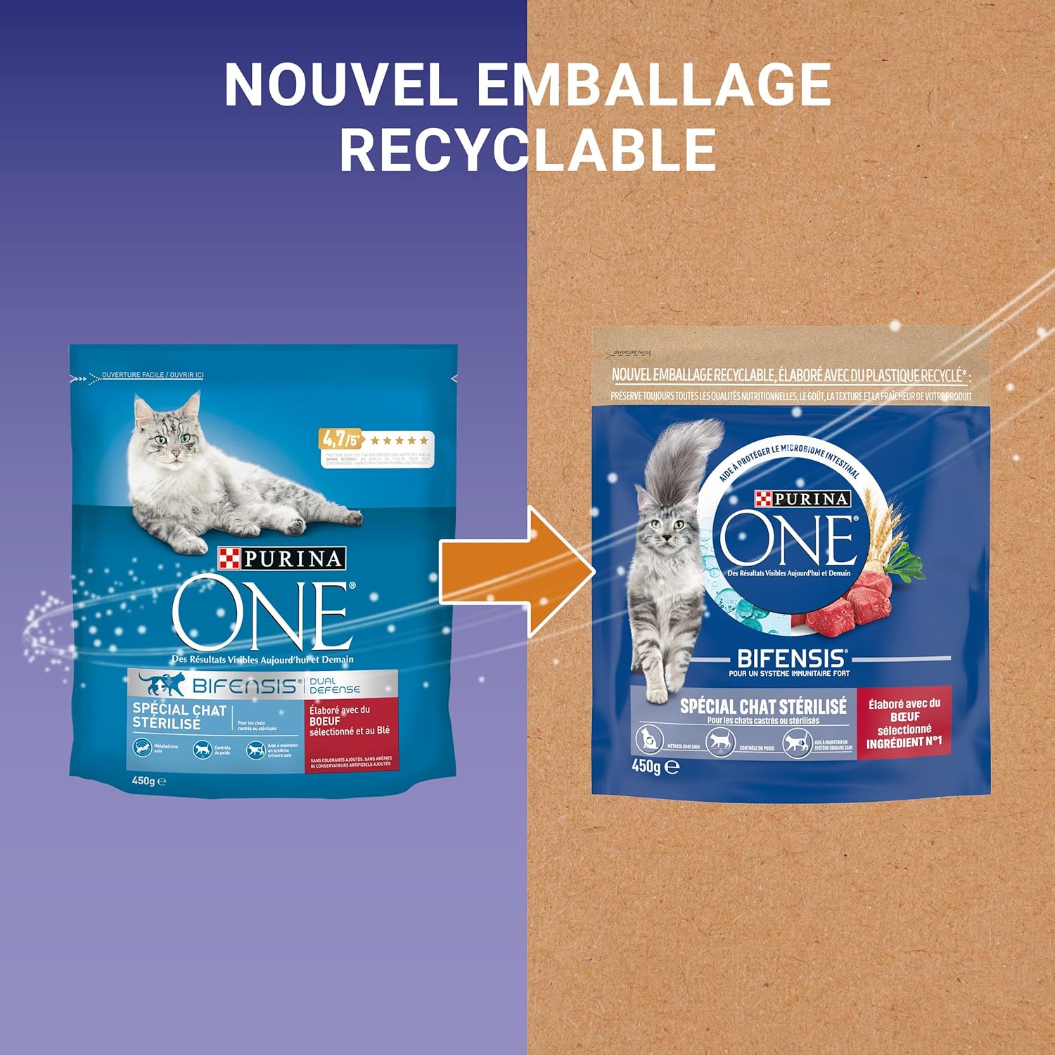 Purina One - Bifensis Chat Adulte - 10 x 450g - Immunité et urinaire sain