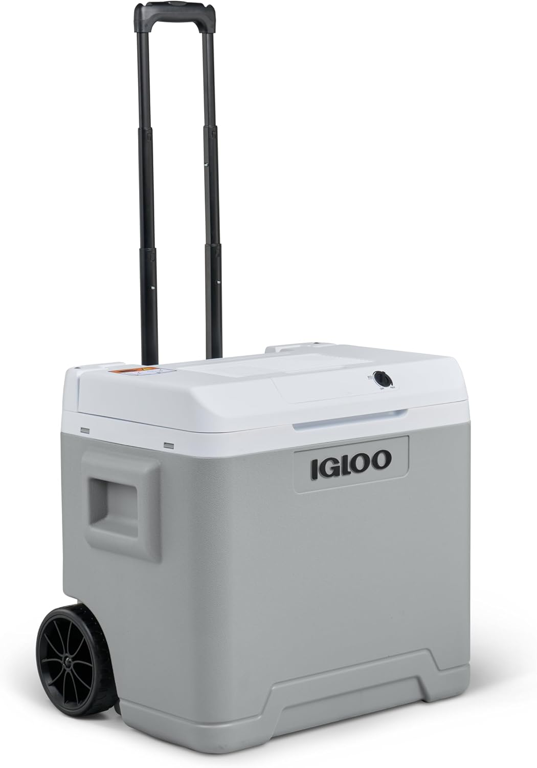 IGLOO - Glacière électrique portative - grande capacité, prise 12V