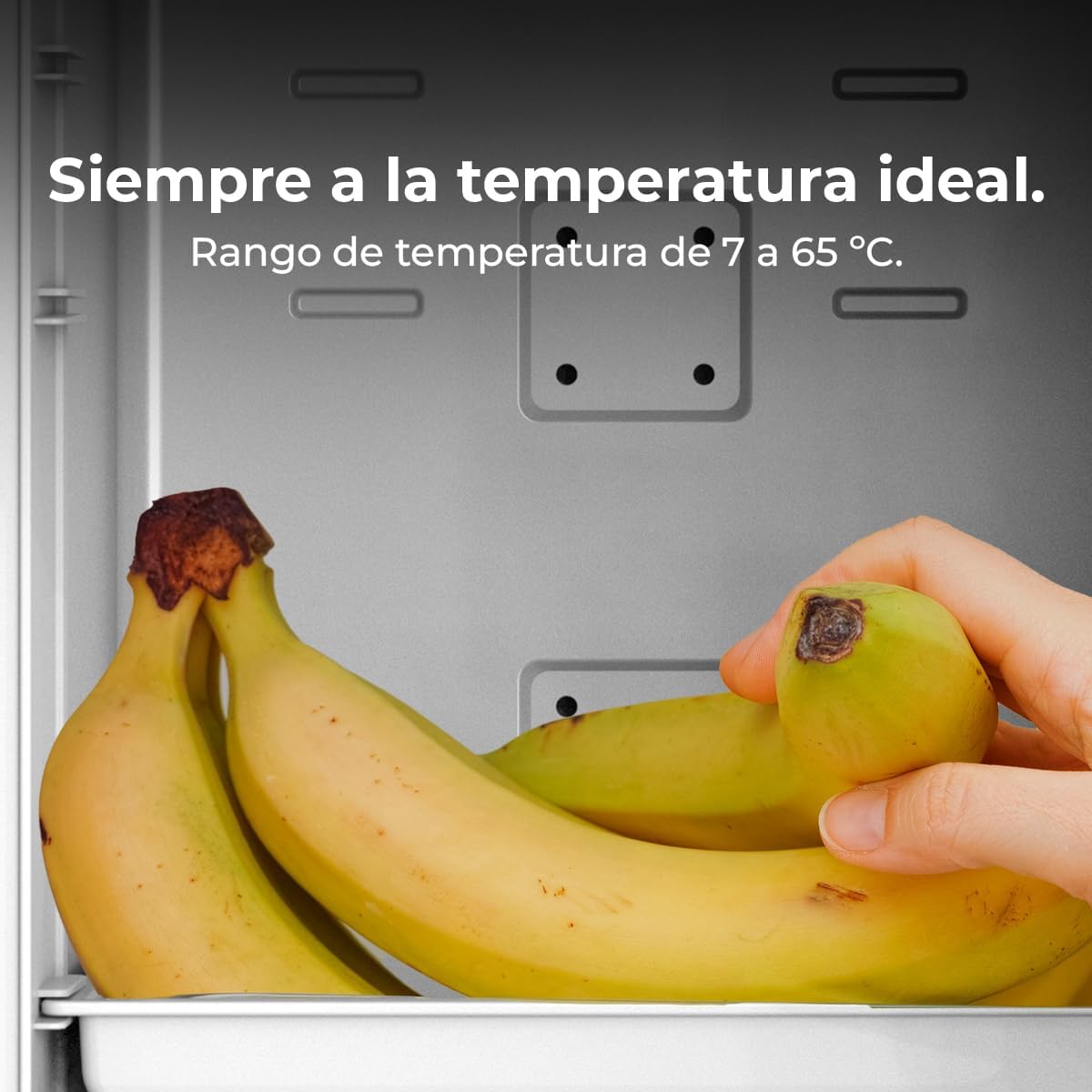 Cecotec - Mini frigo Bolero 25L - 20L, 12-220V, chaud/froid, 7-65°C