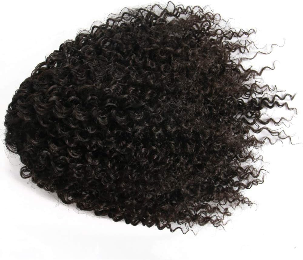 Extension queue cheval afro-américaine - bouclée - 12 pouces - cheveux courts