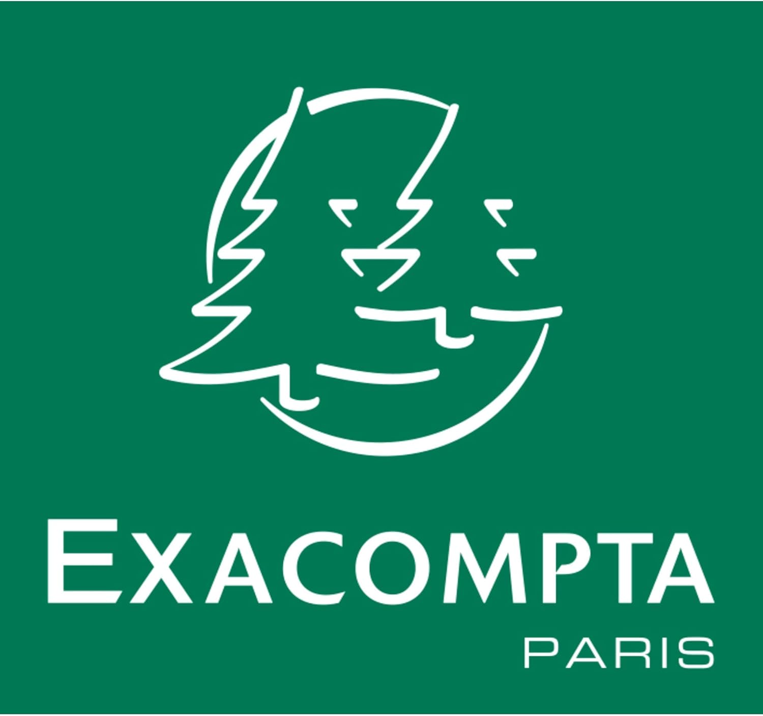 Exacompta - corbeille à papier ECOBIN - 26,3x26,3x33,5 cm - 15L opaque avec poignées - 45357D