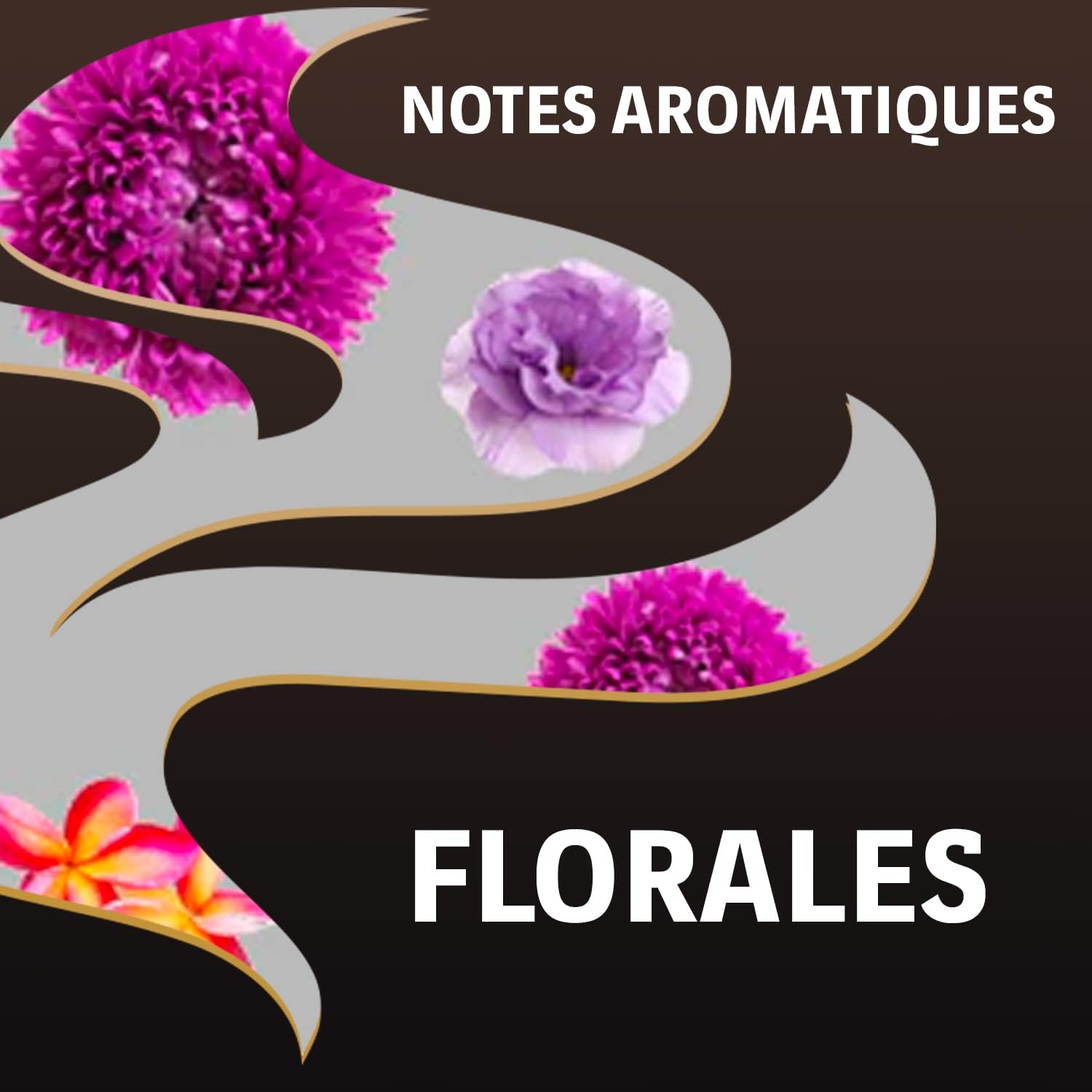 Lavazza - Espresso Barista Perfetto - 2x1kg café grain 100% arabica, intensité 6