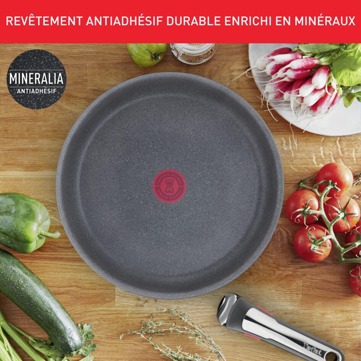 Tefal Ingenio Natural On - 2 poêles + poignée - induction, antiadhésif, empilables, lavable, Fabriqué en France - L76693