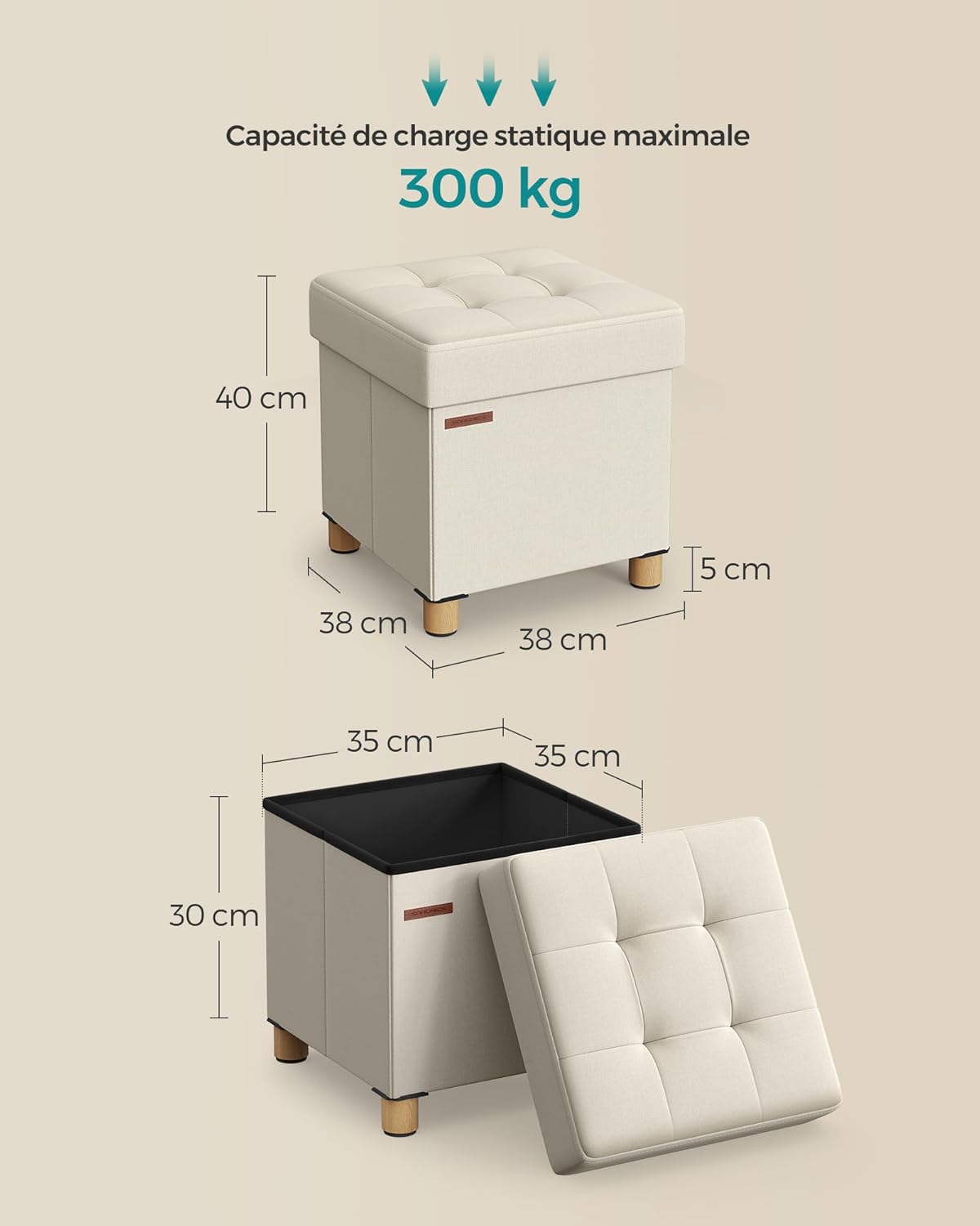 SONGMICS - pouf pliable - 38x38x40 cm - rangement solide, 300 kg, LSF014W11