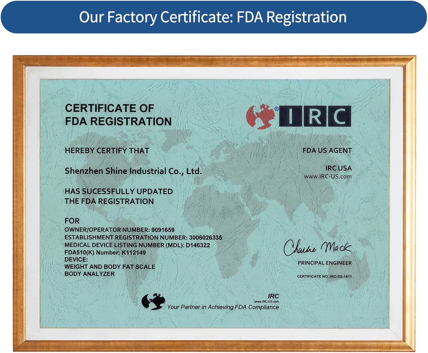 Vitafit - Balance de cuisine 15kg - acier inox, tare, 3 AAA, bleu