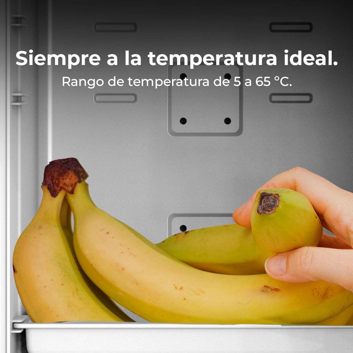 Cecotec - Bolero MiniCooling 6L - compact - 6L, 12-220V, chaud/froid, 5 à 65°C